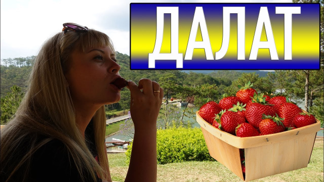 VLOG Вьетнам, Далат! Crazy house, лучший парк в Далате. Покупаем кофе.