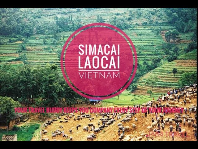 Getting to Simacai Lao Cai VIET NAM