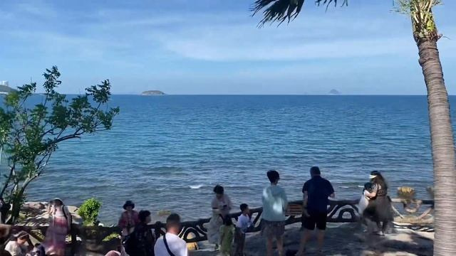 Нячанг. Кафе всё по пять или где поесть морепродукты .Центральный пляж. Северный Нячанг#вьетнам