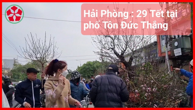 HVD life and people : 29 Tết Qu&yacute; M&atilde;o tại đường T&ocirc;n Đức Thắng Hải Ph&ograve;ng | HVD