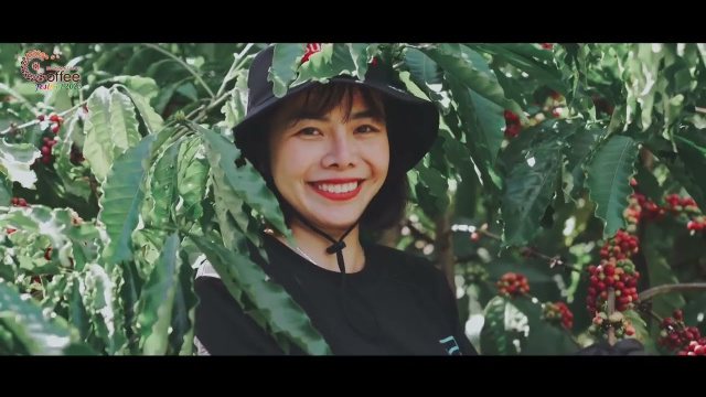 Hơi thở c&agrave; ph&ecirc; Ban M&ecirc; - Giải ba