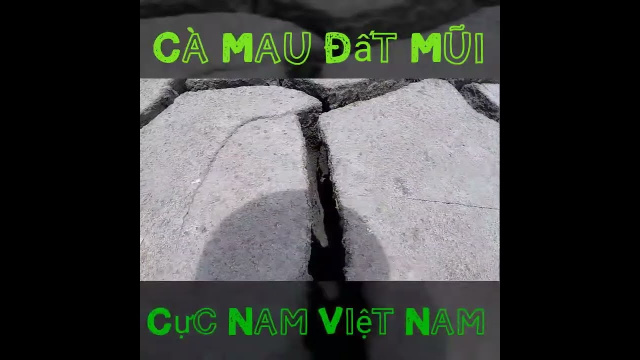 (PHƯỢT)CỰC NAM ĐẤT MŨI C&Agrave; MAU