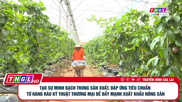 Tạo sự minh bạch trong sx, đ&aacute;p ứng ti&ecirc;u chuẩn từ h&agrave;ng r&agrave;o kt thương mại để đẩy mạnh xk n&ocirc;ng sản