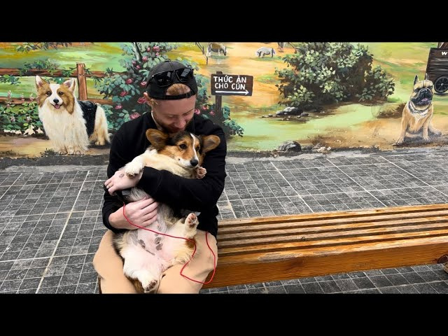 Далат - Любовь с первого взгляда / Puppy farm / Crazy house   1 часть