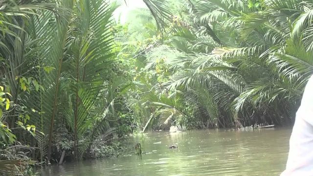 The Backwaters of Ben Tre (720p)