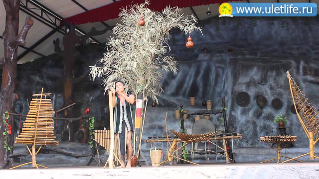 Экскурсия на водопад Янг Бей