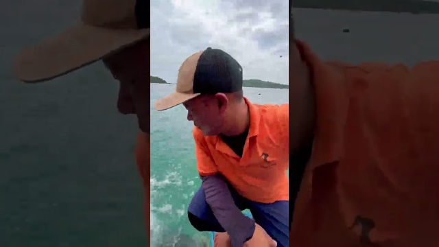 Погружаюсь под воду! Что скрывает море Нячанга? 🤿🌊
