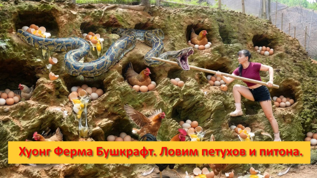 Хуонг Ферма Бушкрафт. Вьетнам. Ловим петухов и питона.