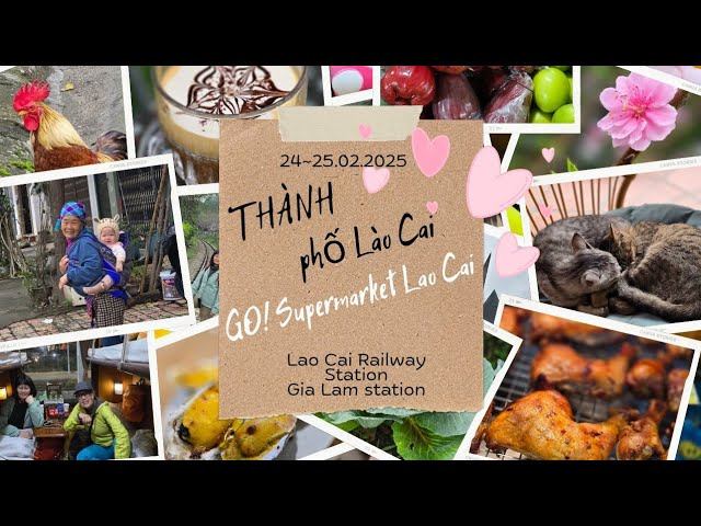 北越登山之旅～Th&agrave;nh phố L&agrave;o Cai～老街市最大超市GO! Supermarket Lao Cai～通消火車返河內