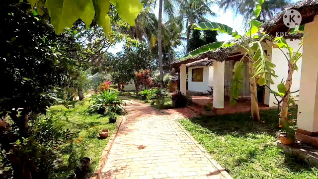 Вьетнам 2021. Муйне. Ananda resort 3*. Vietnam 2021. Muine.