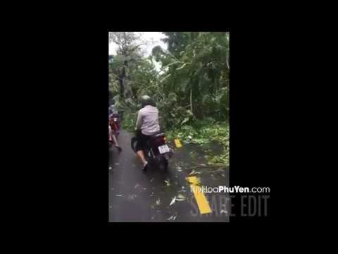 Tuy Hòa tan hoang sau cơn bão Damrey 2017