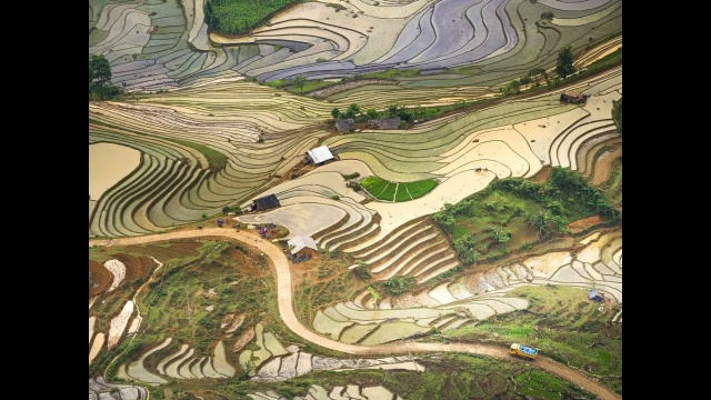 Amazing Blind Stretch Comb Rice Fields of Lao Cai and Yen Bai Provinces, Vietnam