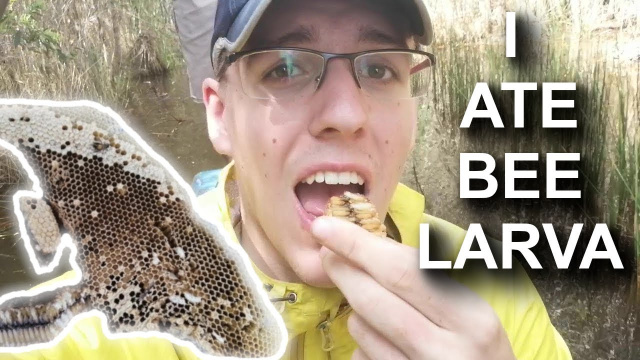Rural Ca Mau - Harvesting Vietnamese Honey