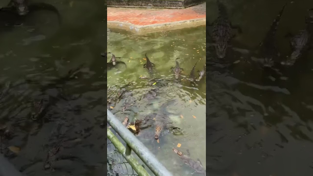Нячанг- Вьетнам 🇻🇳 Парк Янгбей