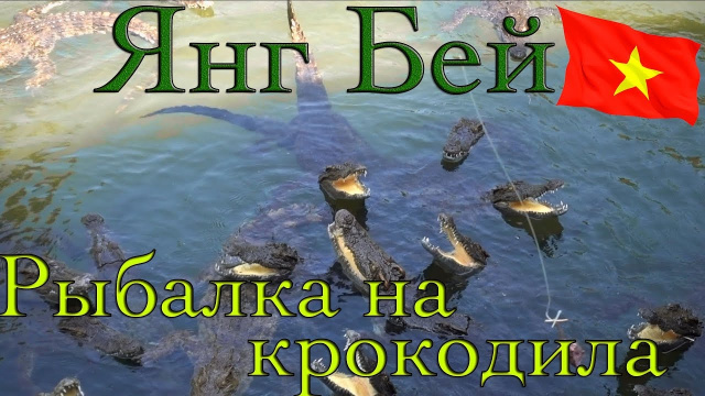 Рыбалка на крокодила! Водопад Янг Бей. Петушиные бои, Экскурсии Вьетнама! Нячанг