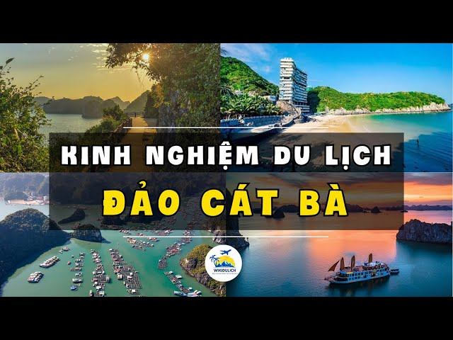Trọn bộ kinh nghiệm du lịch C&aacute;t B&agrave;: Ăn g&igrave;, chơi g&igrave;, ở đ&acirc;u?