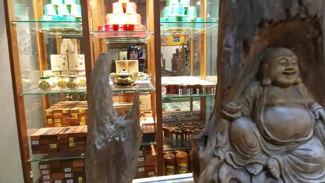 Нячанг 24.02.2023. Прогулка парк имени М.Горького, ТЦ Нячанг-центр