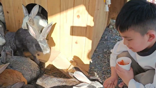 Mat Pet Farm #Sapa куда сходить #Сапа что посмотреть #Вьетнам #travel #zoo #альпака детям #Шапа