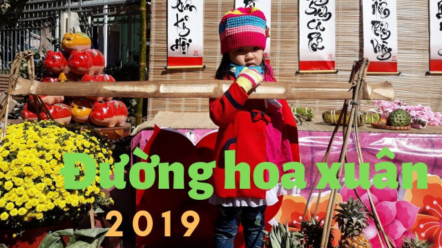 Đường hoa xu&acirc;n Bu&ocirc;n Ma thu&ocirc;̣t 2019 r&ocirc;̣n ràng ngày 26 t&ecirc;́t Kỷ Hợi 🐷