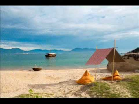 Du lịch Cam Ranh. Khu sinh th&aacute;i Sao Biển-Cam Ranh.