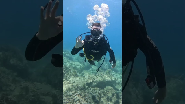 Universal Underwater Explorer Language #scubadiving #nhatrang #openwaterdiver #scubadivingfun