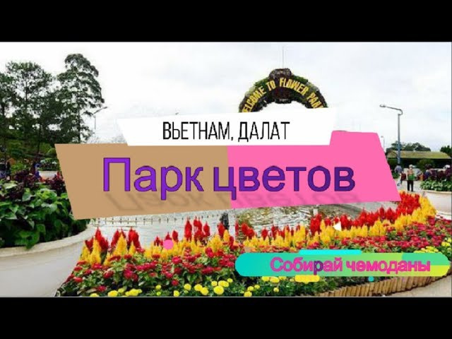 Парк цветов (Вьетнам, Далат)