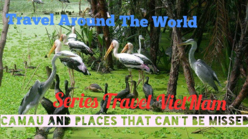 Travel Viet Nam - Du lịch Việt Nam : Journey 1: Travel Ca Mau - Viet Nam - Du lịch C&agrave; Mau