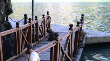 Chacun son tour - Vietnam - Baie d'halong et l'&icirc;le de Cat b&agrave;