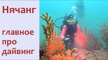 Дайвинг в столице курортного отдыха Вьетнама городе Нячанг - подводный рай или потеря времени