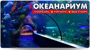 Океанариум в Нячанге, на острове Винперл (Vinpearl) Вьетнам