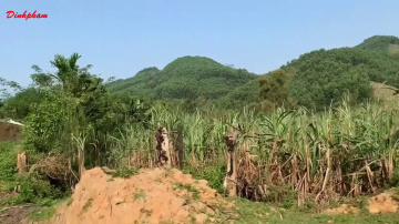 Đi Kontum bằng đường đ&egrave;o quanh co uốn lượn si&ecirc;u đẹp
