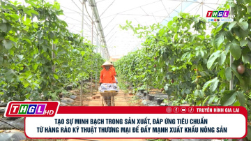 Tạo sự minh bạch trong sx, đ&aacute;p ứng ti&ecirc;u chuẩn từ h&agrave;ng r&agrave;o kt thương mại để đẩy mạnh xk n&ocirc;ng sản