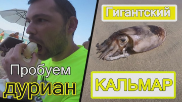 👍Вьетнам, Нячанг - Часть 5. Гигансткий кальмар 🦑 на пляже Зоклет. Пробуем дуриан.