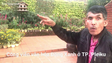 Du Lịch Ẩm Thực Gia Lai I Bất Ngờ Gốc C&acirc;y H&oacute;a Thạch H&agrave;ng Triệu năm C&ocirc;ng Vi&ecirc;n Đồng Xanh Tp. Pleiku