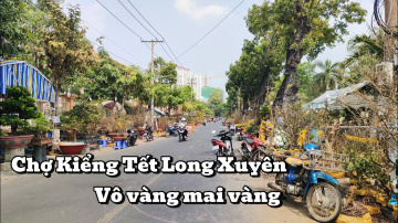 Chợ kiểng tết Long Xuy&ecirc;n - An Giang | Phạm Long