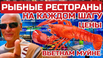 Вьетнам Муйне. Цены ВПЕЧАТЛЯЮТ. Рай для любителей морепродуктов. #муйне #вьетнам #морепродукты