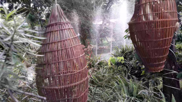 Du lịch l&agrave;ng c&agrave; ph&ecirc; Trung Nguy&ecirc;n Bu&ocirc;n Ma Thuột Đaklak -tourism Trung Nguyen Buon Ma Thuot coffee vil