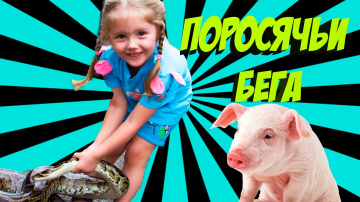 ПОЕЗДКА НА ВОДОПАДЫ ЯНГ БЕЙ / Часть 1 Поросячьи бега