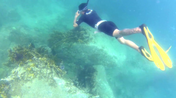 Сноркелинг 2017. Snorkeling in Nha Trang