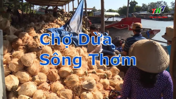 Đi chợ dừa tr&ecirc;n s&ocirc;ng Thơm, Mỏ C&agrave;y Bến Tre | Miền T&acirc;y Mu&ocirc;n Nẻo Chợ