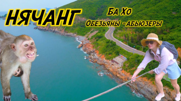 Нячанг | Ехать ли на водопады Ба Хо? | Обезьяны - Абьюзеры | Слетали в Дананг на 1 день