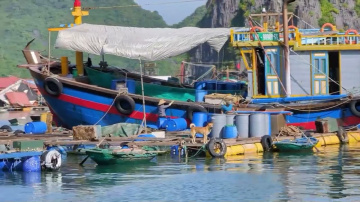 Cat Ba, Baie de Lan Ha et ascension du Navy Peak / Haiquan (Vietnam)