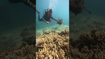 Dive into Vietnam: Lead and Transform