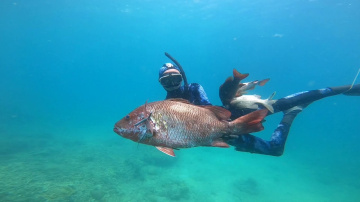 #spearfishingvn Trải nghiệm lặn biển c&ugrave;ng anh em ở b&aacute;n đảo cam ranh...