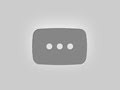 ВЬЕТНАМ, ДАЛАТ 2026! Топовые локации, кофейни и развлечения | Лучший город во Вьетнаме! vlog