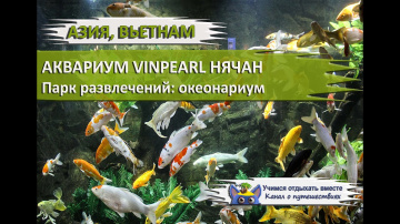 АКВАРИУМ VINPEARL НЯЧАНГ ВЬЕТНАМ| Парк развлечений океанариум Винперл