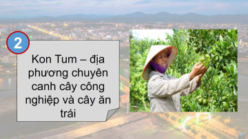Giới thiệu vị tr&iacute; kinh tế của Kon Tum
