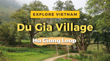 Explore Du Gia Village   Ha Giang Loop l Vietnam Travel l Jasmine Tour