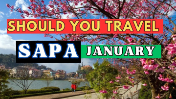 Should you travel to Sapa in January ? What is beautiful about Sapa in January ?